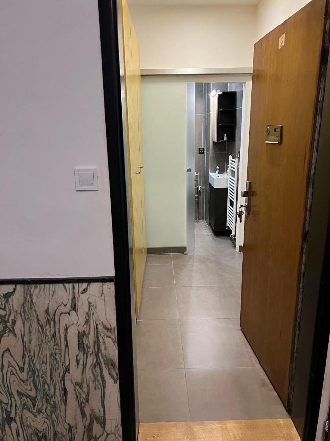 Studio Apartment In Center Brno Exterior foto